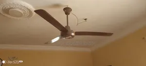 Ceiling Fans