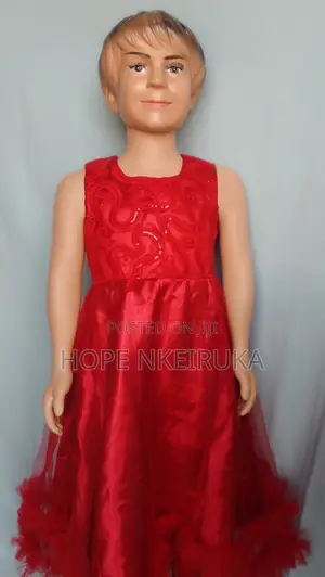 Long Red Lace/Net Dress