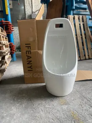 Big Wall Mounted Sensor Urinal Bowl.