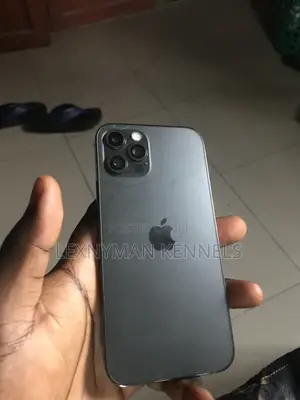 Apple iPhone 12 Pro 128 GB Gray