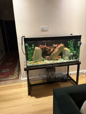 Aquarium With Stand