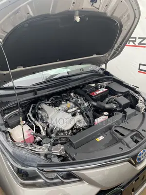 Toyota Corolla XLE 2021 Gray