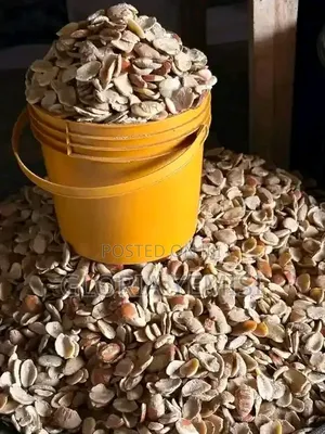 Food Stuff Business