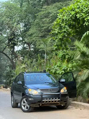 Lexus RX 2007 Blue