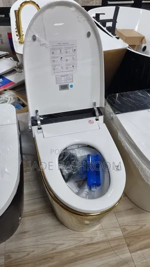 Smart Toilet