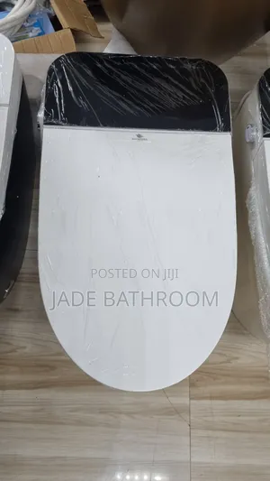 Smart Toilet