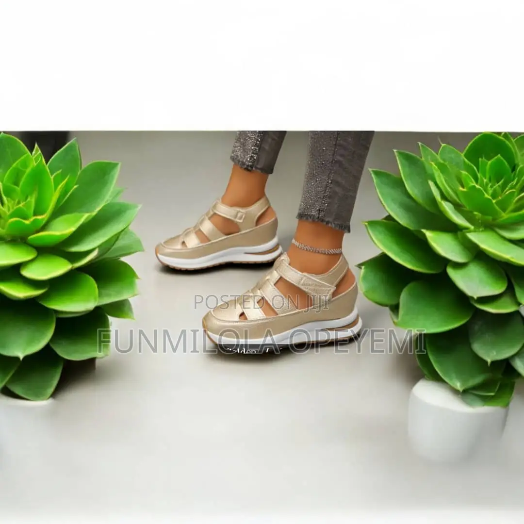 Sneakers/ Crocs/ Office Shoe