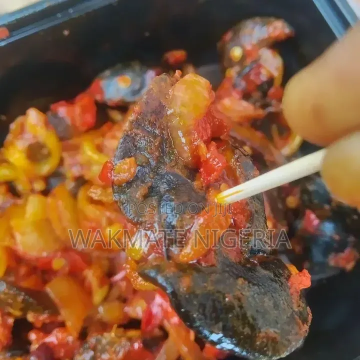 Peppered Snail