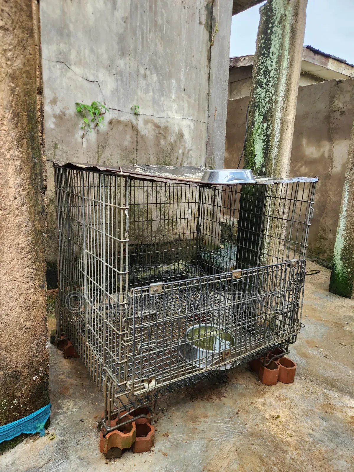 Collapsible Iron Dog Cage