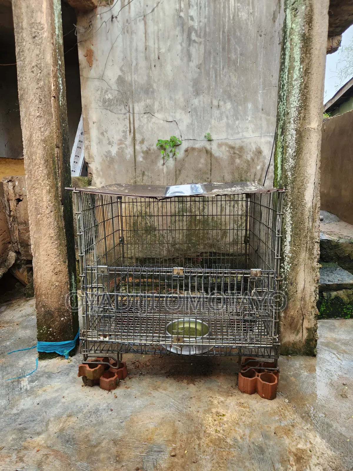 Collapsible Iron Dog Cage