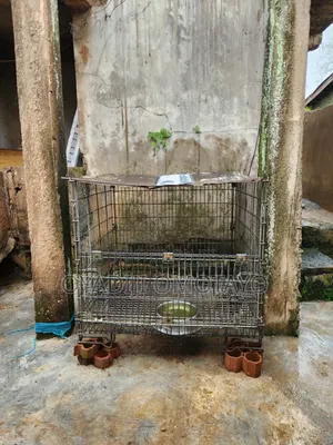 Collapsible Iron Dog Cage