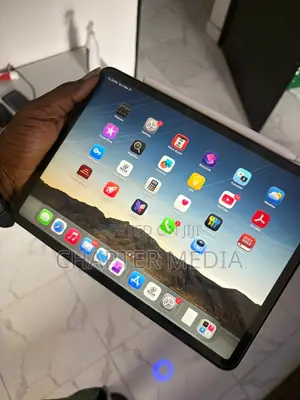 Apple iPad Pro 64 GB Gray