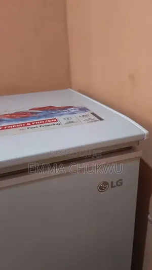 Big Lg Freezer
