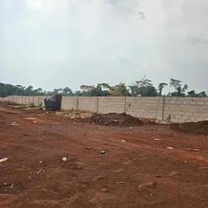 Certificate of Occupancy