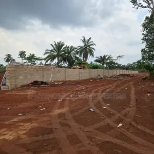 Certificate of Occupancy