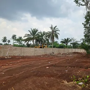 Certificate of Occupancy