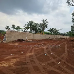 Certificate of Occupancy