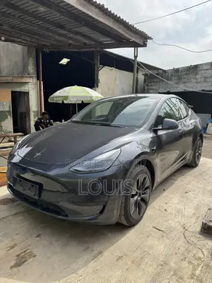 Tesla Model Y 2024 Gray