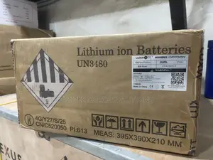 Luxwott 3kw/24v Lithium Battery