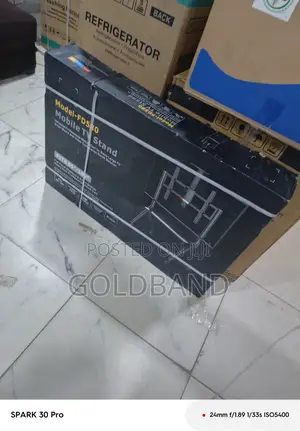 Fd580 Mobile Display Stand for Tv