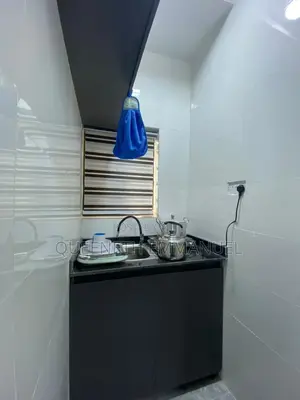 Mini Short Apartment