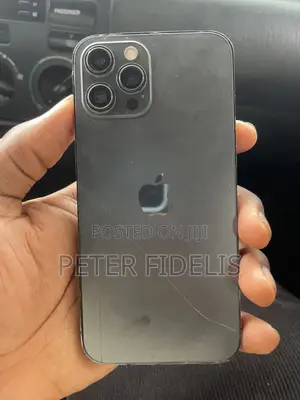 Apple iPhone 12 Pro Max 128 GB Gray