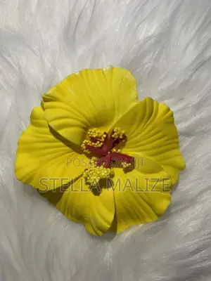 Bohemian Hair Clip