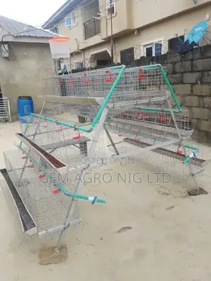 Poultry Layers Battery Cage