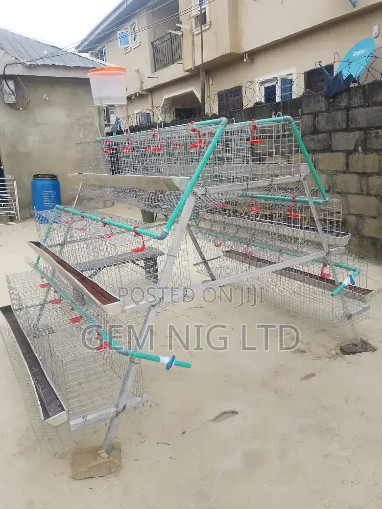 Poultry Layers Battery Cage