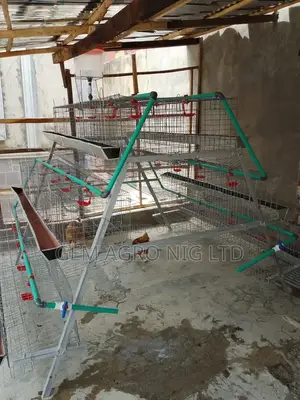 Poultry Layers Battery Cage