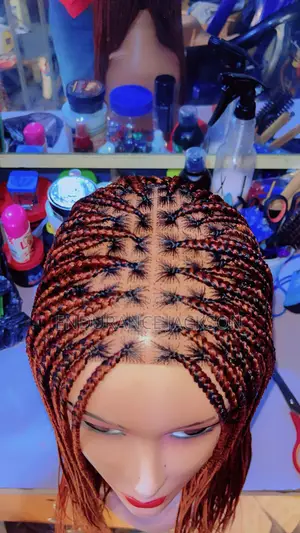 Braided Wig