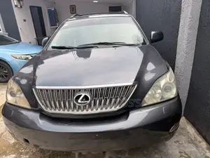Lexus RX 330 2005 Gray