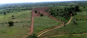 4 Acres of Dry Land at Ilara