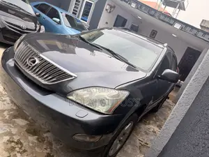 Lexus RX 330 2005 Gray