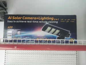 Street Light Camera