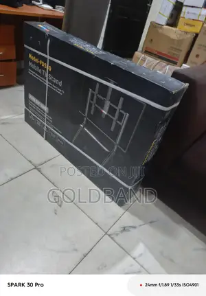Fd580 Mobile Stand for Smart TVS