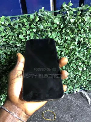 Apple iPhone 12 Pro Max 256 GB Bronze
