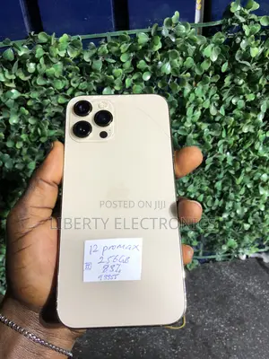 Apple iPhone 12 Pro Max 256 GB Bronze