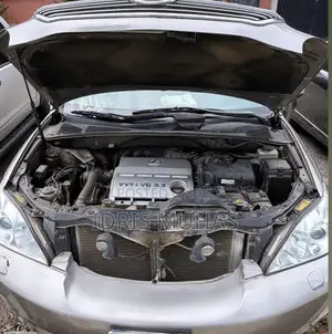 Lexus RX 330 2005 Gray