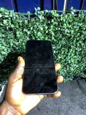 Apple iPhone 14 Pro Max 128 GB Gray