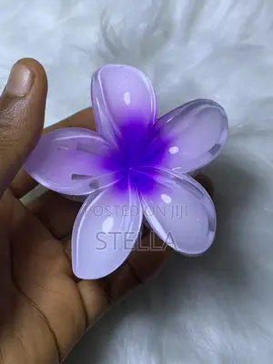 Fancy Hair Claw