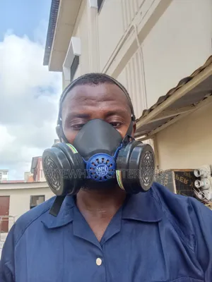 Safe Effective Cockroach Treatment In Lagos Professional