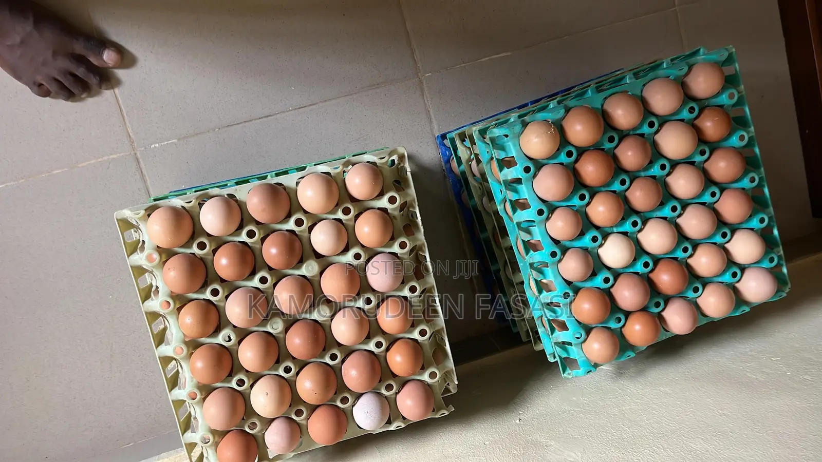 Crates of Eggs