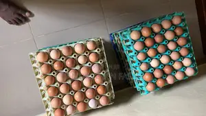 Crates of Eggs