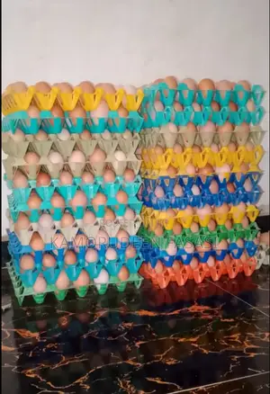 Crates of Eggs