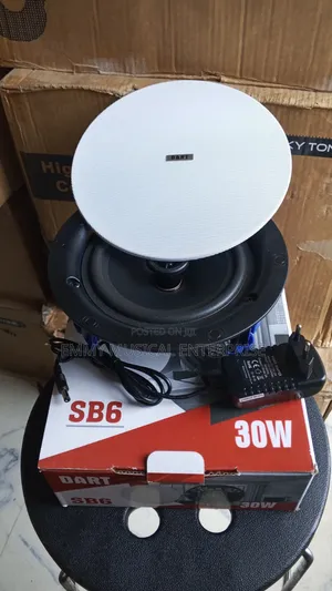 30w Dart Frameless Single Bluetooth Ceiling/Pop Speaker