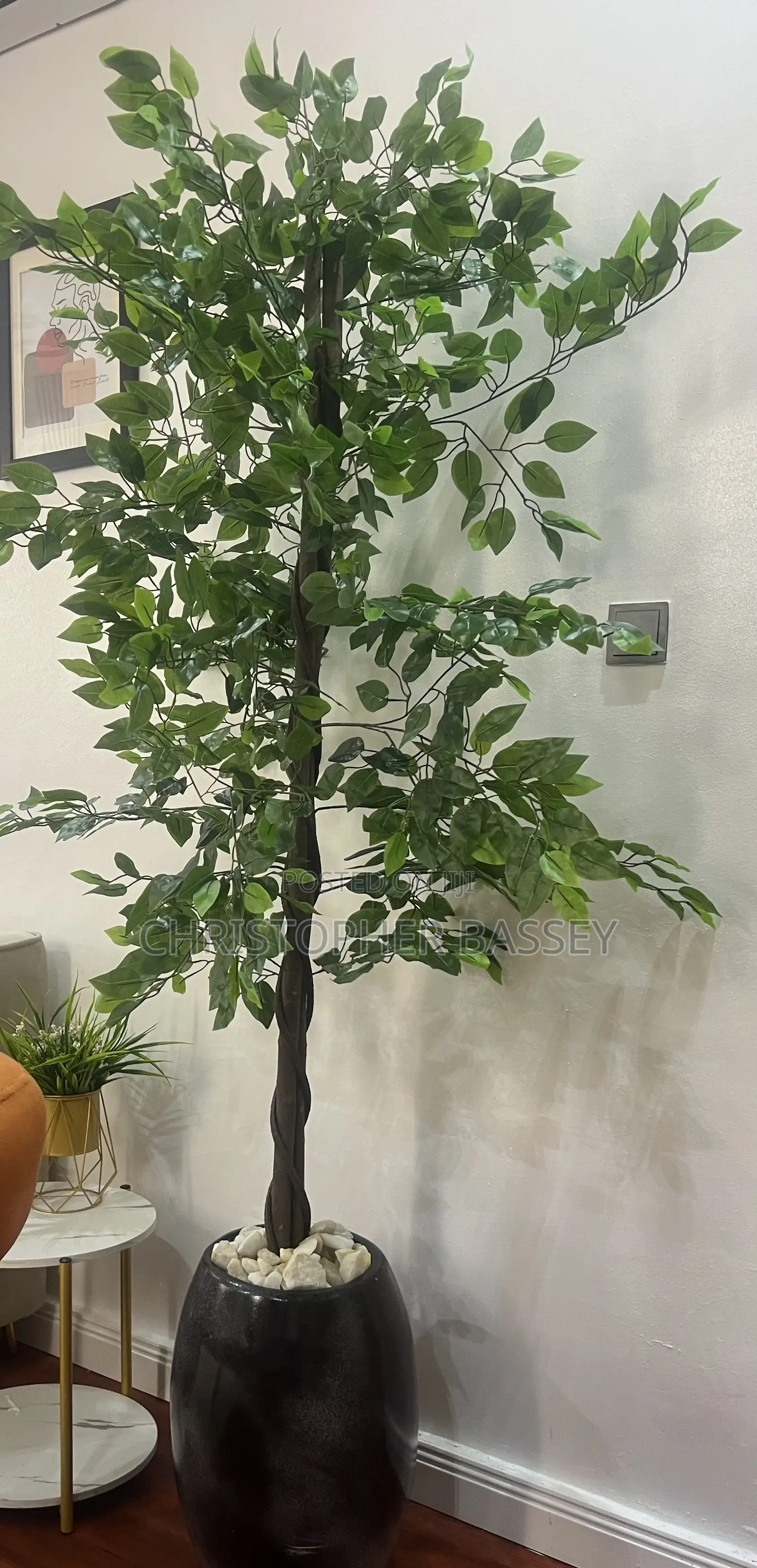 Artificial Plants, Vases and White