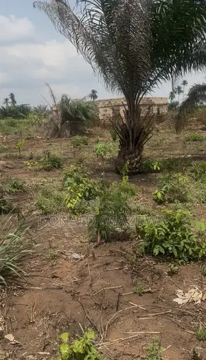 Plots of Land Available for Sale at Iguikpe Community