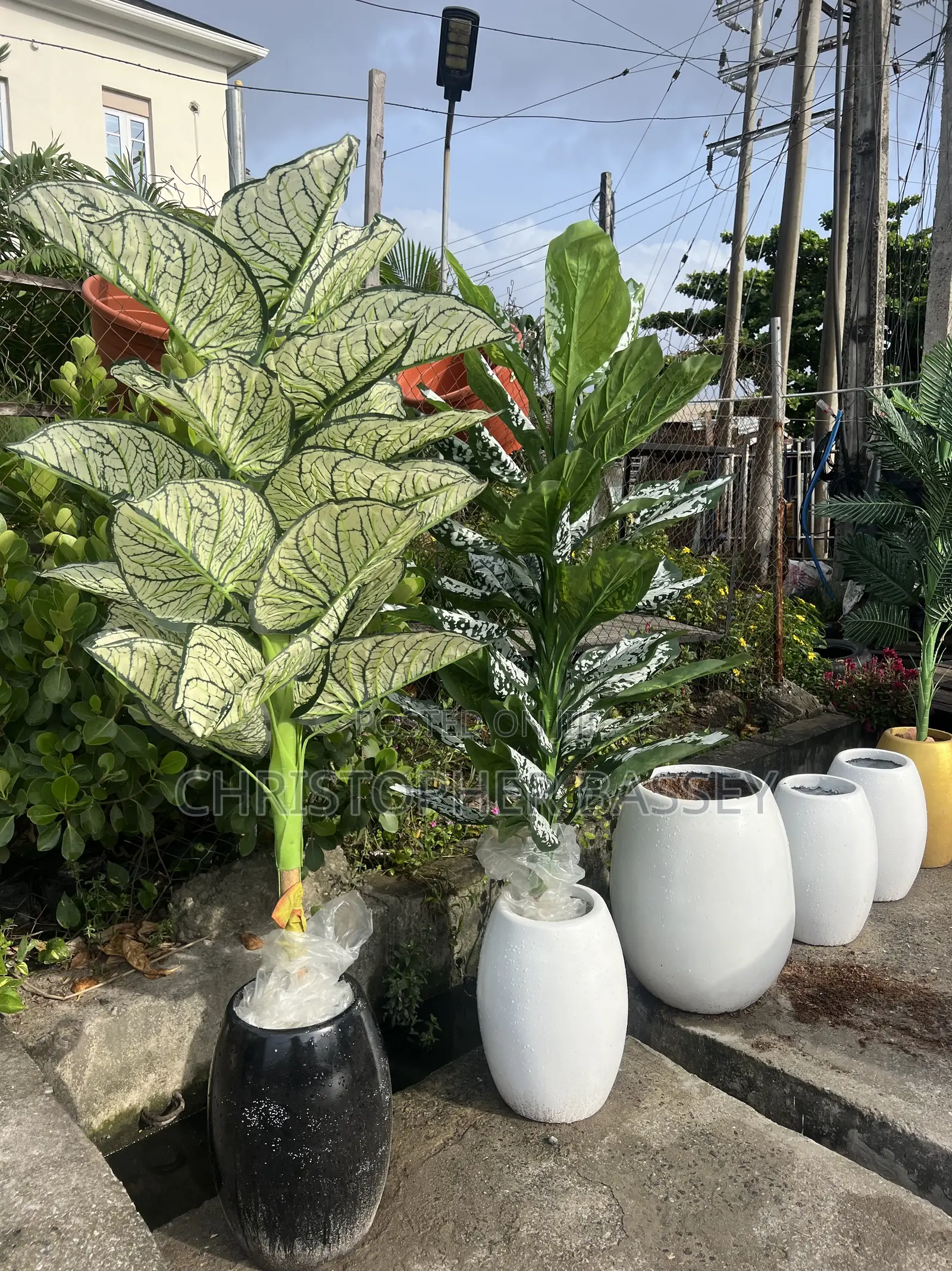 Vase and Artificial Flowers
