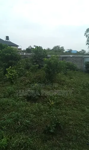 Cheap Plot of Land 60x120 at Igbokuta
